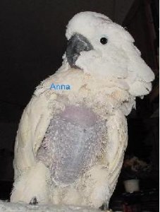 Anna5-2005-2.jpg