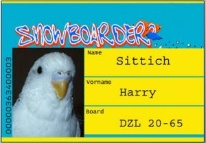 Snowboarder.Harry.jpg