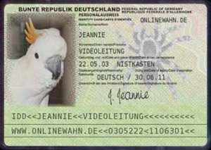 jeannie pass.jpg