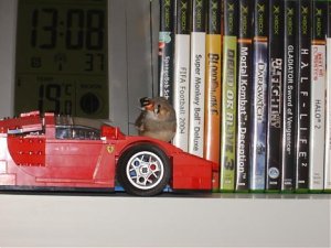 Neo und sein Ferrari.jpg