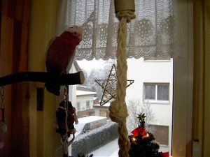 Weihnachten mit Schnee (3).jpg