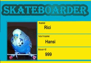 Skateboarder-Hansi.jpg
