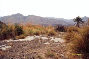 Wadi Hatta.jpg