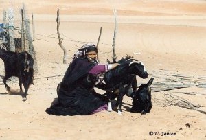 Zurückhaltende Beduinen-Frau, am Ende brachte ich sie doch noch zum Lächeln.jpg