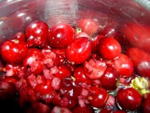 cranberries_klein.2.jpg