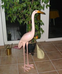 flamingo vor blume.jpg