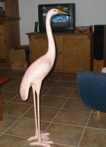 flamingo vor fernseher.jpg
