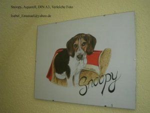 Snoopy Kopie.jpg