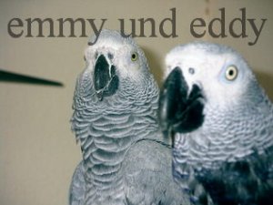 eddy und emmy 1.JPG
