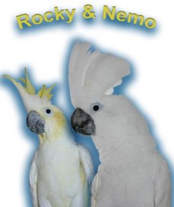 Rocky und Nemo.jpg