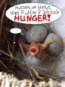 hunger!.JPG