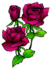 rose-rose.gif