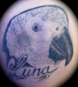Luna Tattoo.jpg