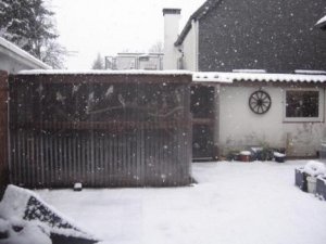 Schnee Voegel 002.jpg
