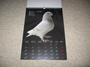 kalender 2010 004.jpg
