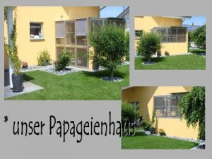 Papahaus - Kopie (2).jpg