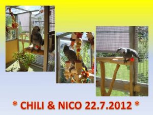 Chili und Nico 22.7.2012 - Kopie.jpg