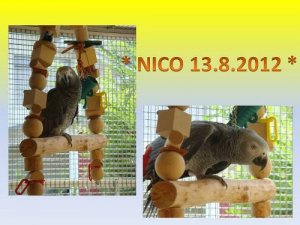 Nico 13.8.2012 - Kopie.jpg