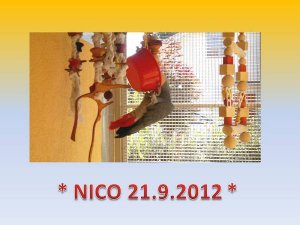 Nico 21.9.2012 - Kopie.jpg