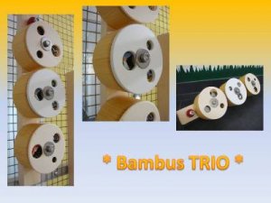 Bambus TRIO - Kopie.jpg