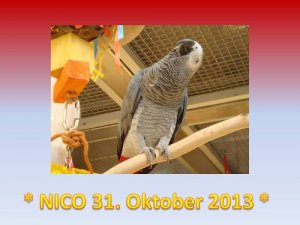 Nico 31. Oktober 2013 - Kopie.jpg