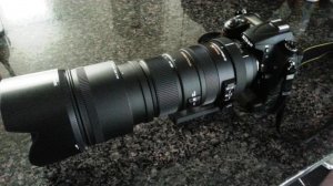 Nikon mit Sigma 50-500.jpg