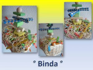 Binda - Kopie.jpg
