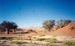 Namibwüste.jpg