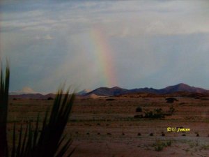 Eine Seltenheit - Regenbogen in der Wüste.jpg