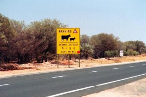 Australien - Stuart Highway.jpg