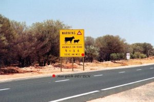 Australien - Stuart Highway.jpg