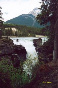 Athabasca Falls.jpg