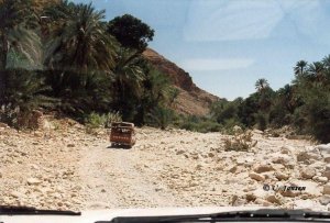 Im Wadi Bani Khalid sehen wir ein Fahrzeug.jpg