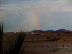 Eine Seltenheit - Regenbogen in der Wüste.jpg