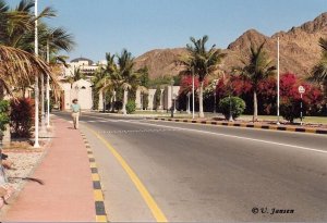 Zufahrt zum Hotel - Al Bustan Palace.jpg