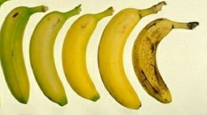 grüne-oder-reife-banane-500x330-500x330~2.jpg