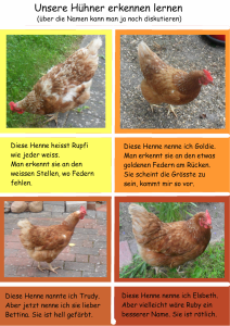 Hühner erkennen lernen.png