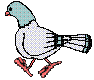pigeonpoop.gif